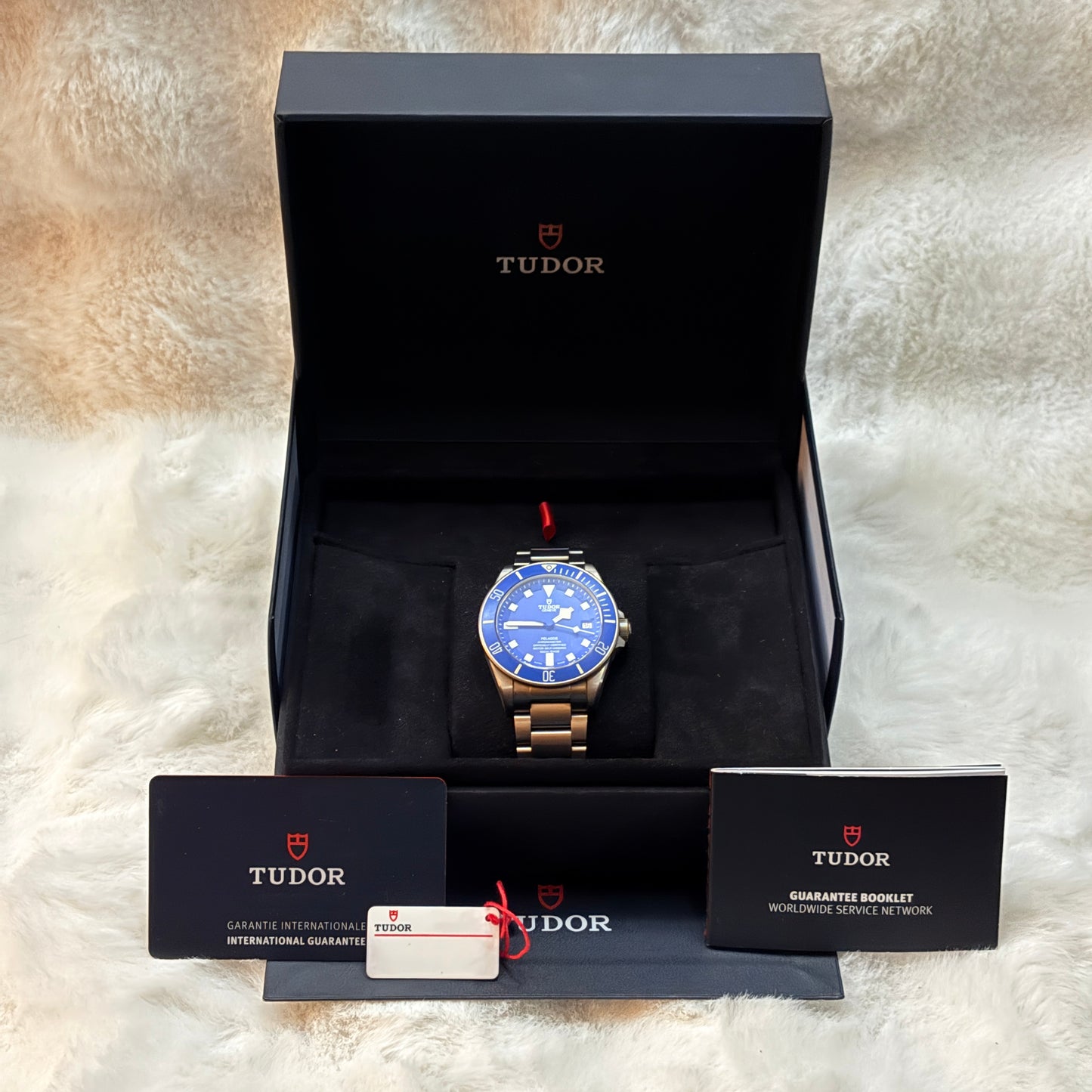 Tudor Pelagos 42mm 25600TB